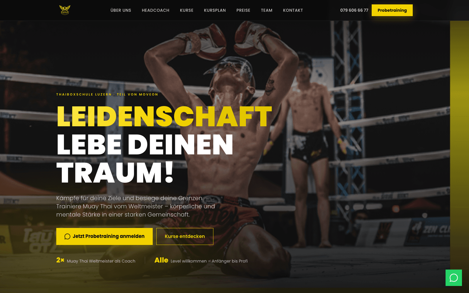 Eagle Muay Thai — Projekt von DomAI