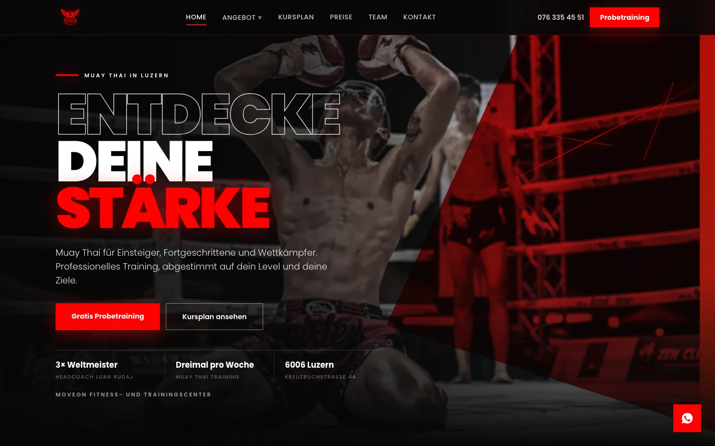 Eagle Muay Thai — Projekt von DomAI