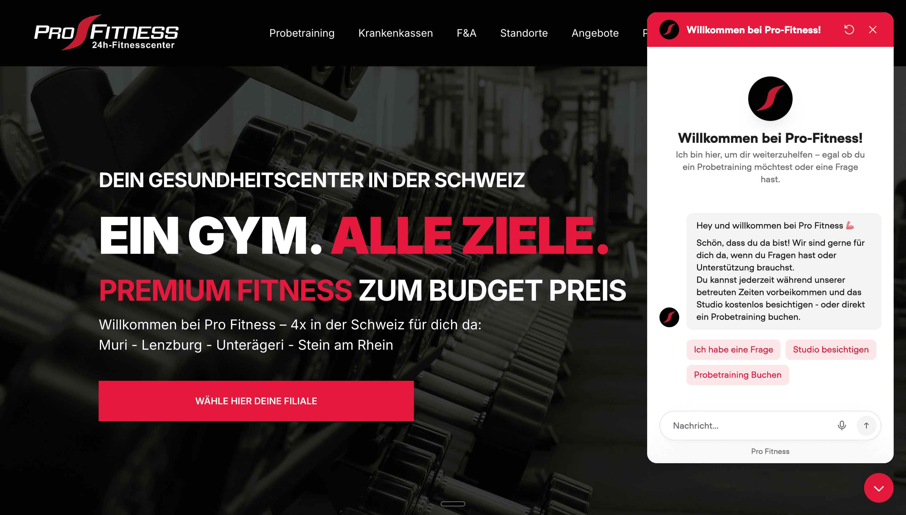 Pro Fitness — Projekt